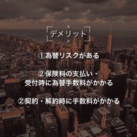 画像238