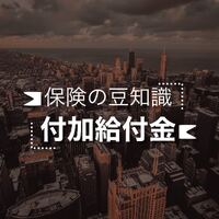 画像247