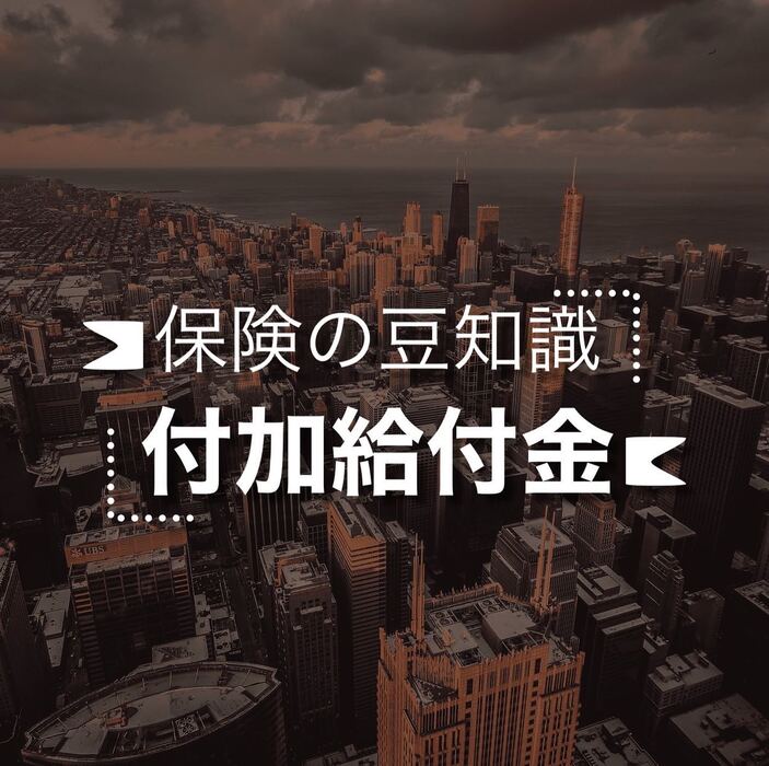 画像247