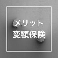 画像254
