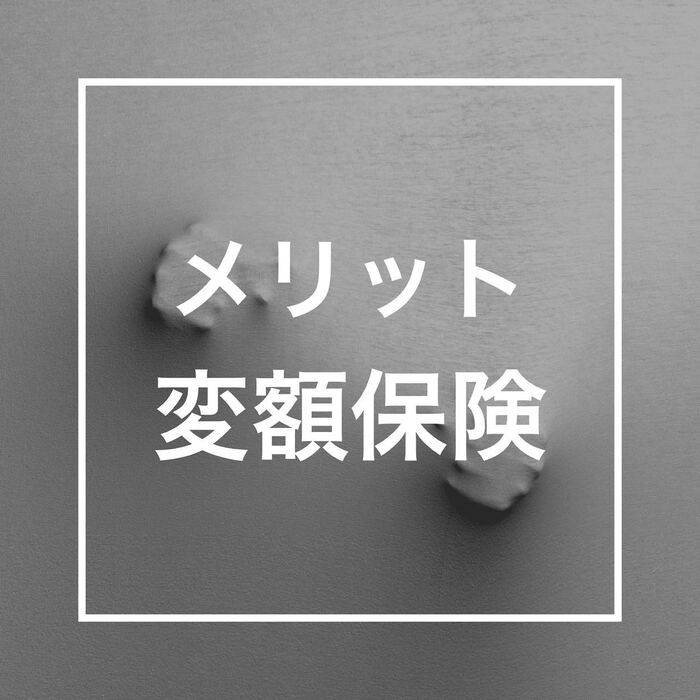 画像254