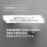 画像255