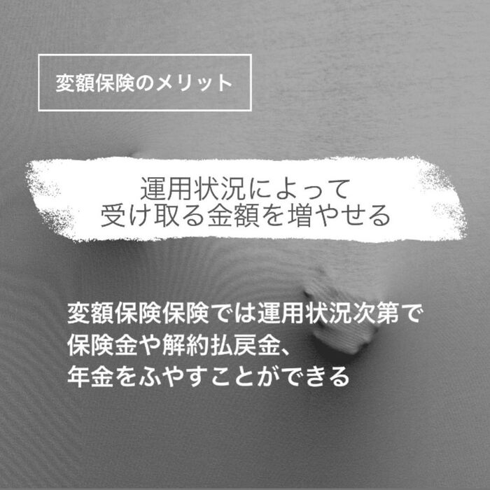 画像255