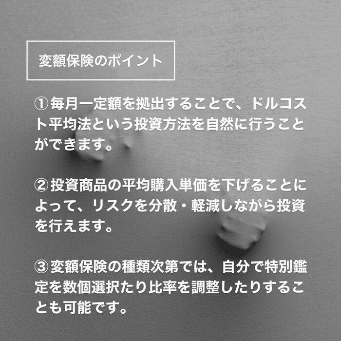 画像256