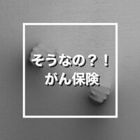 画像265